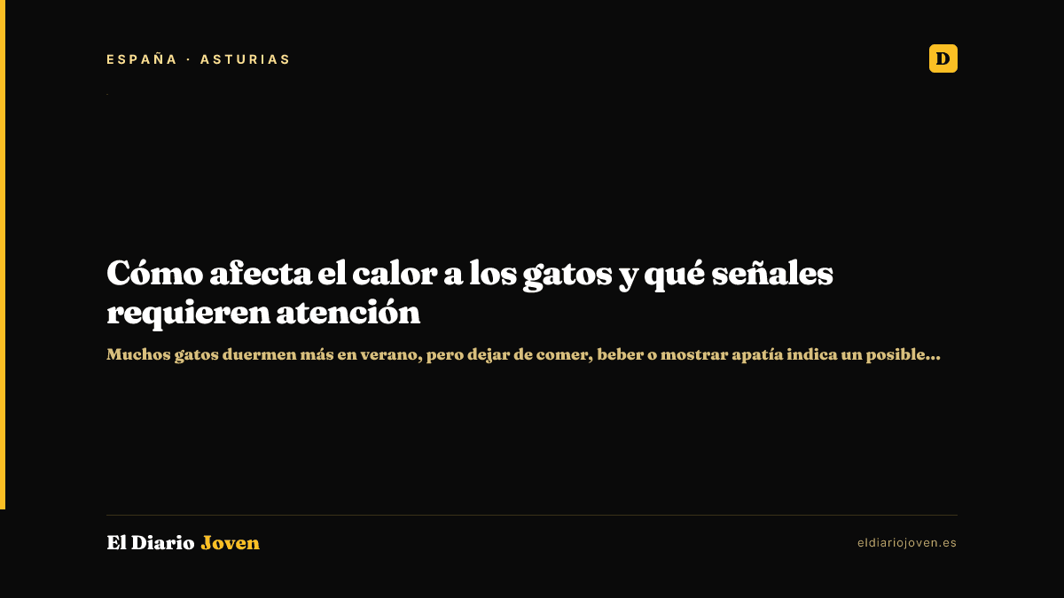Cómo afecta el calor a los gatos y qué señales requieren atención