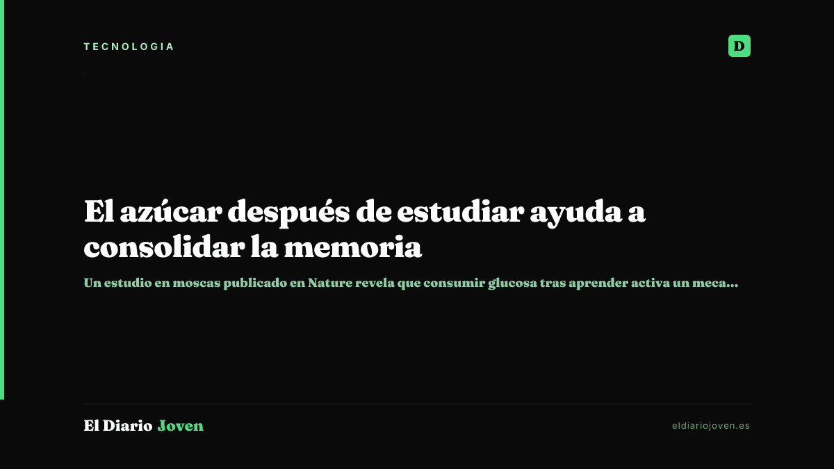 El azúcar después de estudiar ayuda a consolidar la memoria
