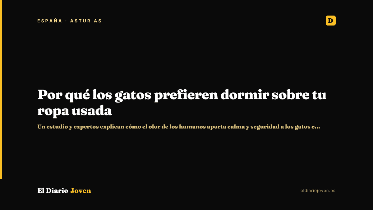 Por qué los gatos prefieren dormir sobre tu ropa usada