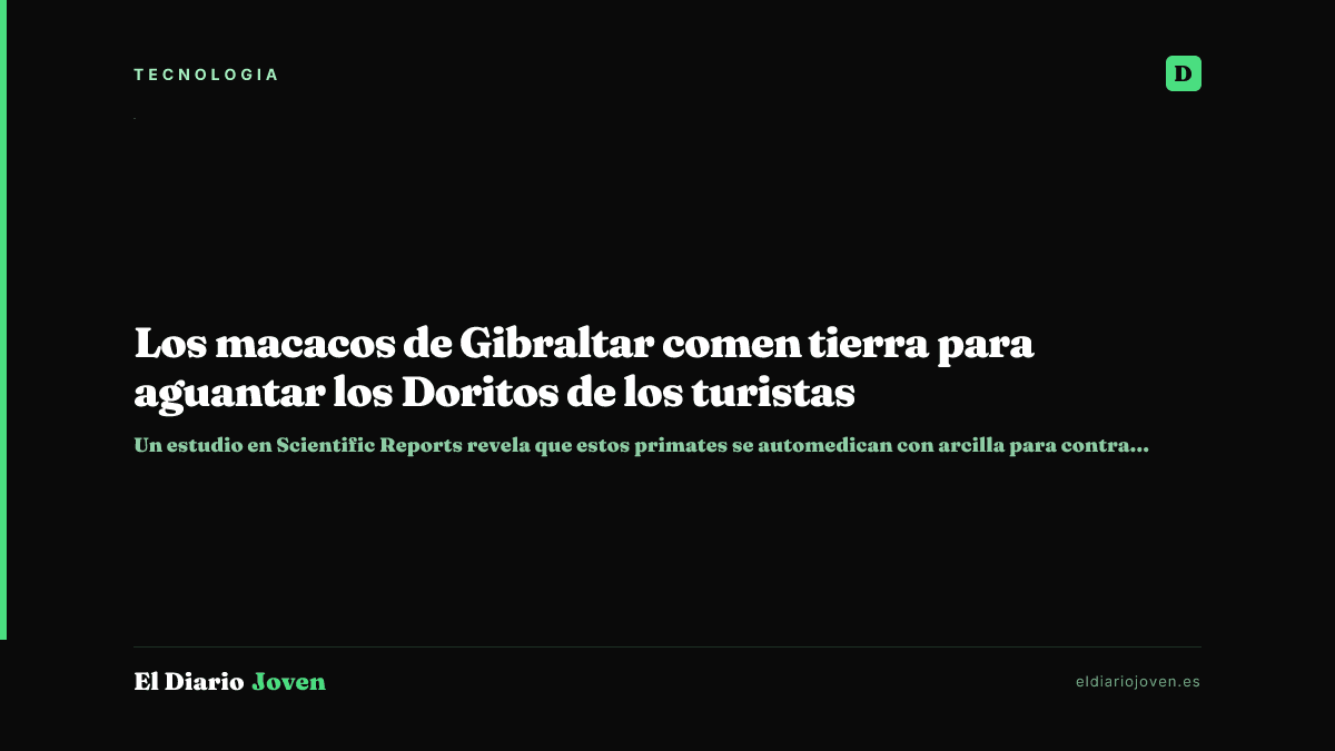 Los macacos de Gibraltar comen tierra para aguantar los Doritos de los turistas