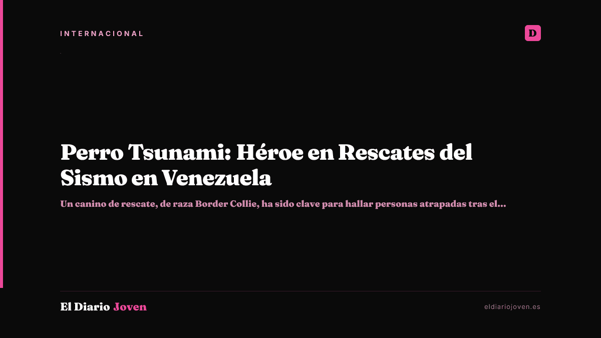 Perro Tsunami: Héroe en Rescates del Sismo en Venezuela