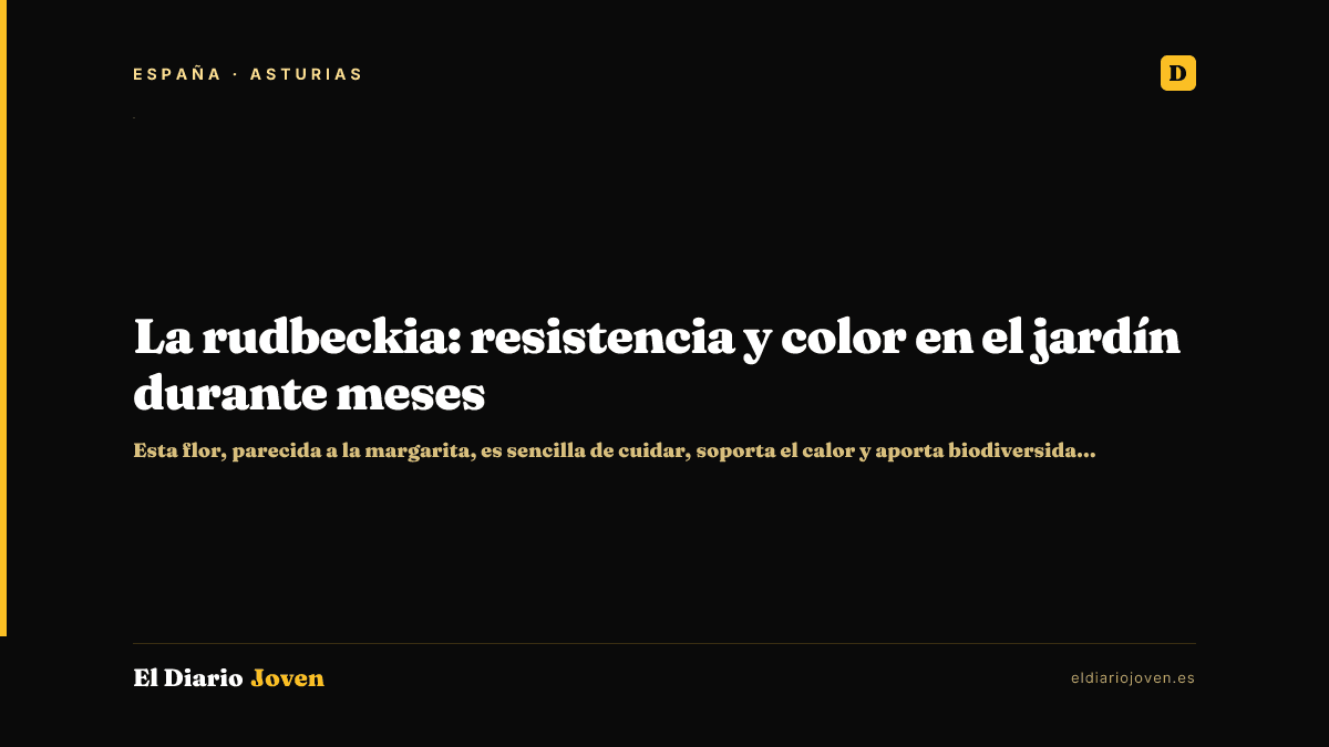 La rudbeckia: resistencia y color en el jardín durante meses