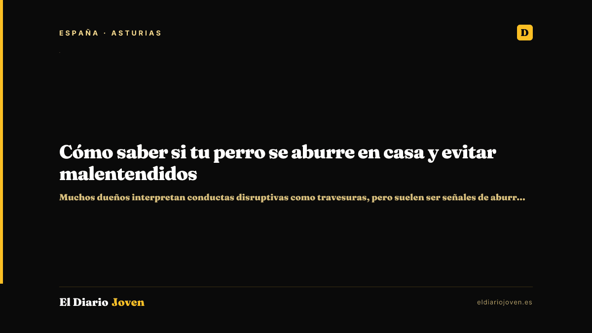 Cómo saber si tu perro se aburre en casa y evitar malentendidos