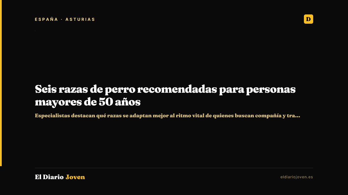 Seis razas de perro recomendadas para personas mayores de 50 años