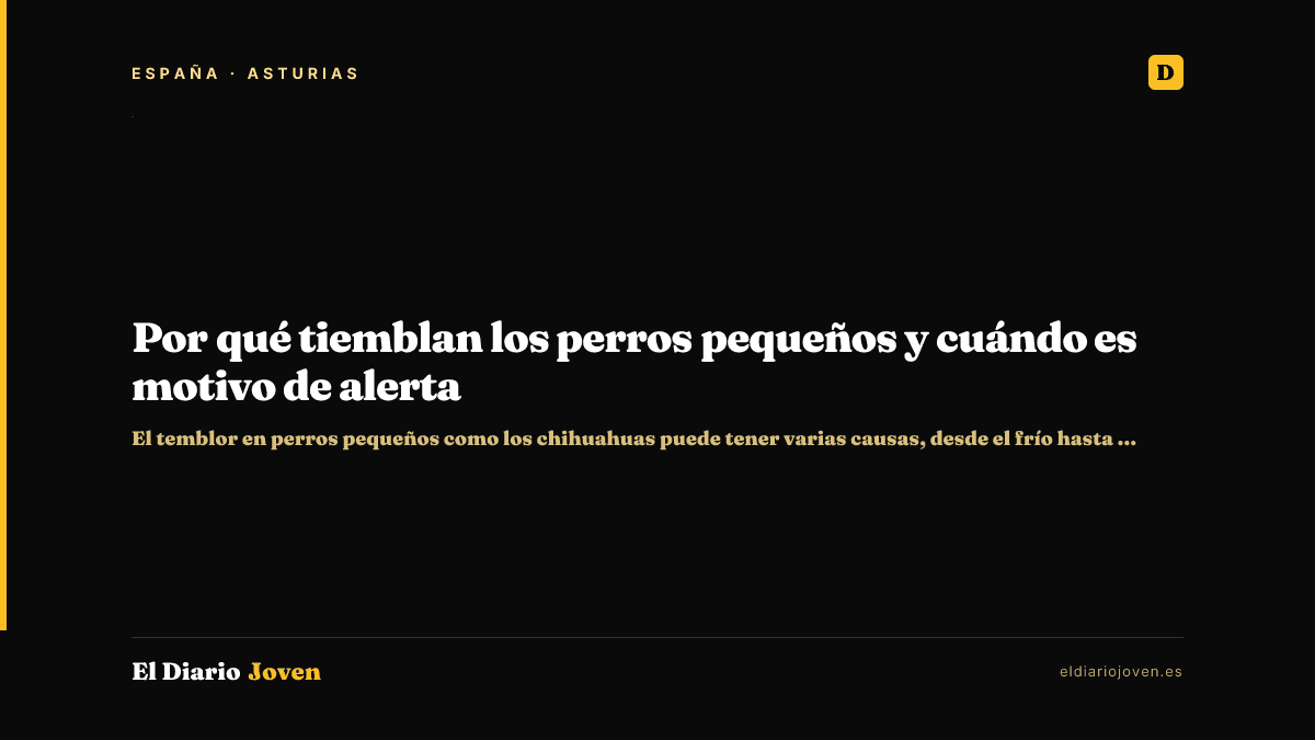Por qué tiemblan los perros pequeños y cuándo es motivo de alerta