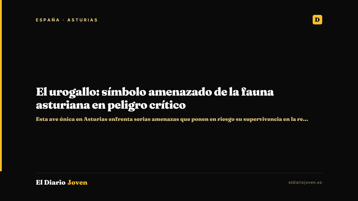 El urogallo: símbolo amenazado de la fauna asturiana en peligro crítico